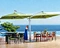 Custom Double-Sided Cantilever Hanging Umbrella